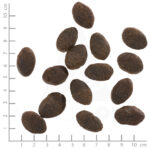 Wolfsblut Dog Wild Pacific - ryby i ziemniaki 12,5kg - obrazek 3